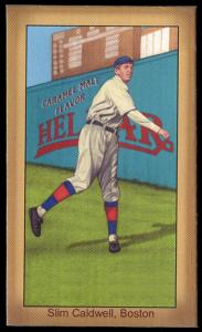 Picture of Helmar Brewing Baseball Card of Ray 