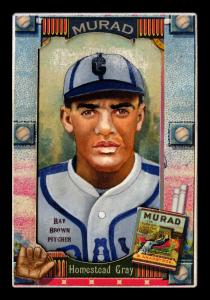 Picture, Helmar Brewing, Helmar Oasis Card # 365, Ray BROWN, Forest behind, Homestead Grays