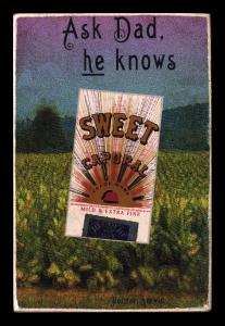 Picture, Helmar Brewing, Helmar Oasis Card # 468, Wallace Gordon, Forest behind, Cuban X Giants