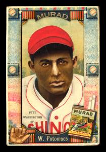 Picture, Helmar Brewing, Helmar Oasis Card # 481, Pete Washington, red cap, forest, Washington Potomacs