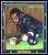 Picture Helmar Brewing All Our Heroes Card # 5 Murphy, Cisero Gold curtains Billiards