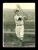 Picture Helmar Brewing Helmar R318 Hey Batter Card # 237 DiMaggio, Dom Hard swing Boston Red Sox