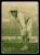 Picture Helmar Brewing Helmar R318 Hey Batter Card # 68 O'Leary, Charley Hands on knees Detroit Tigers