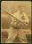 Picture Helmar Brewing Helmar R318 Hey Batter Card # 75 Moriarty, George Batting Detroit Tigers