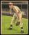 Picture Helmar Brewing Helmar R319 Big League Card # 194 Gray, Pete Stretching St. Louis Browns