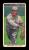 Picture Helmar Brewing Helmar T206 Card # 417 Jones, Sam Throwing follow through Boston Red Sox