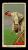 Picture Helmar Brewing Helmar T206 Card # 87 Mertes, Sam Fielding New York Giants