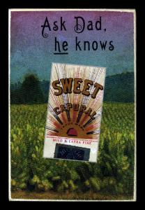 Picture, Helmar Brewing, Helmar Oasis Card # 482, Taylor Smith, Turtle neck; ball, glove, Saint-Jean Quebec