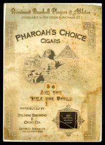 Picture, Helmar Brewing, T3-Helmar Card # 206, Joe MEDWICK (HOF), On grass, green pipe fence, St. Louis Cardinals