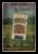 Picture Helmar Brewing Helmar Oasis Card # 520 KAWAKAMI, Tesuharu Forest with gray star Yomiuri Giants
