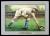 Picture Helmar Brewing Helmar T3 Card # 218 FOXX, Jimmie Horizontal, reaching for throw Philadelphia Athletics