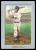Picture Helmar Brewing Helmar T3 Card # 224 MUSIAL, Stan Batting follow through St. Louis Cardinals